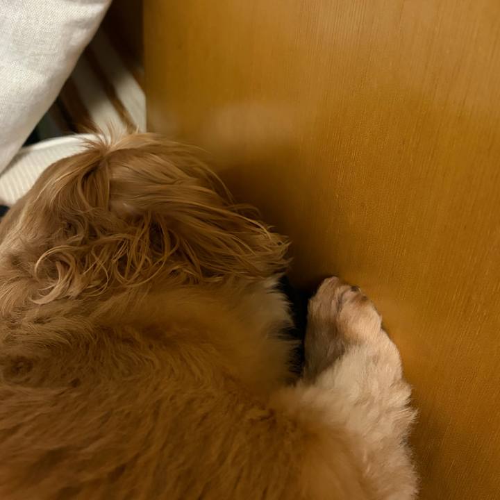 30a8adb9 b4d5 4a4c 8bec 7fe8fc3af986 1774616146809