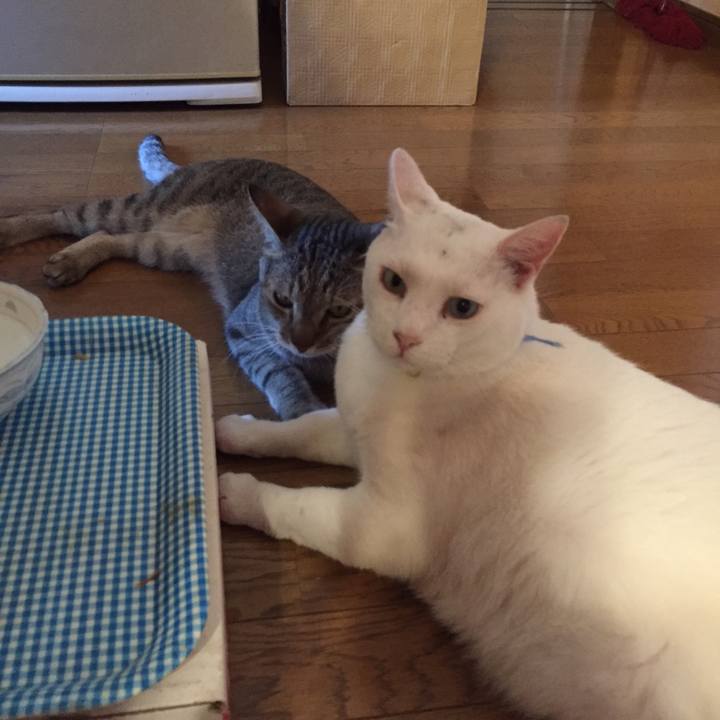 30a8b8e0 5554 4a0b bc1f 2d530bbc69d2 1569724139382