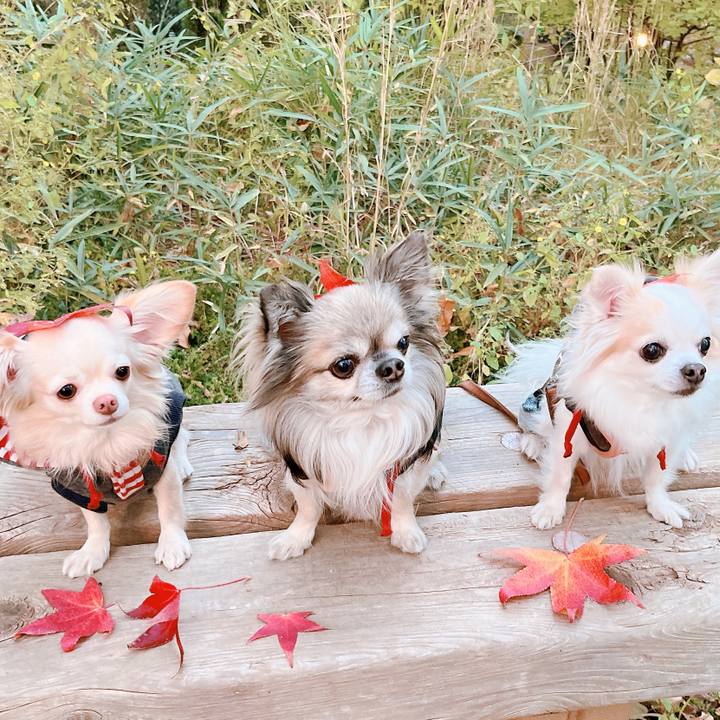 30a8d716 0f6d 4c29 a0eb 171043fb86a8 1667816343899