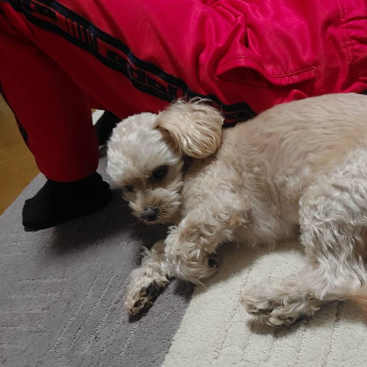 30a8e65f 2061 4423 aae1 f9a5b4457ffa 1638925313980