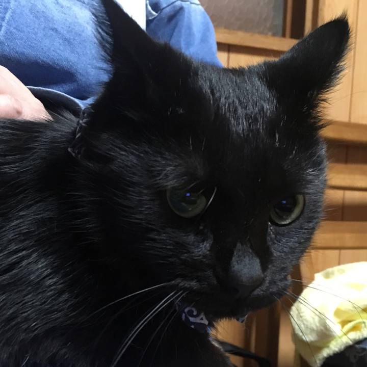 30a901dc c120 4d55 bd75 1261a26f8220 1538052456003