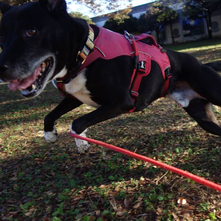 30a92794 46fd 4a56 aa63 e19c05b79a17 1698277258813