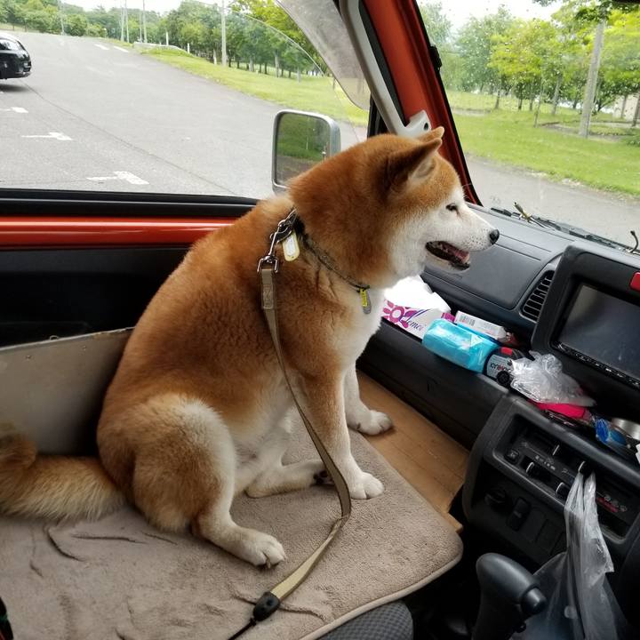 30a92a98 99d5 4438 98f1 accee323ec6d 1653549639297