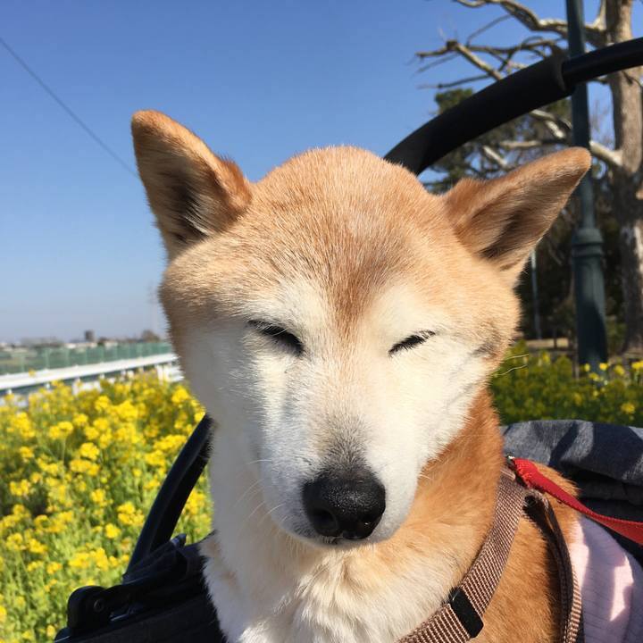 30a937e8 75e0 4ef5 b7e5 86e9871a6a9d 1619589245445