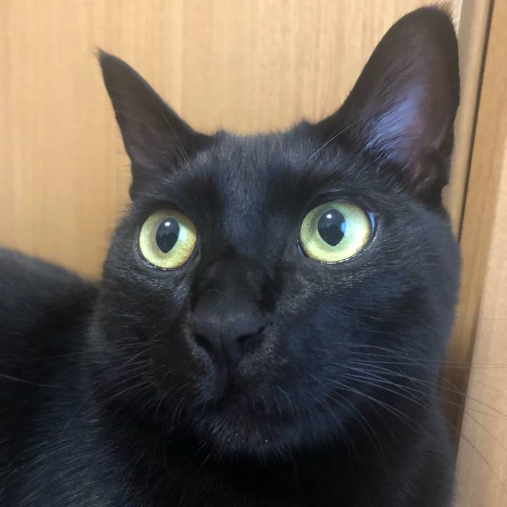 30a95433 6357 4e39 8ae4 5d0cf5a9e761 1541500280741