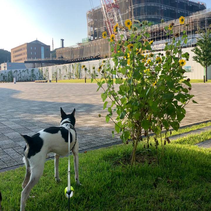 30a95f52 1aad 45f5 b131 24ee26c070bd 1565528137841