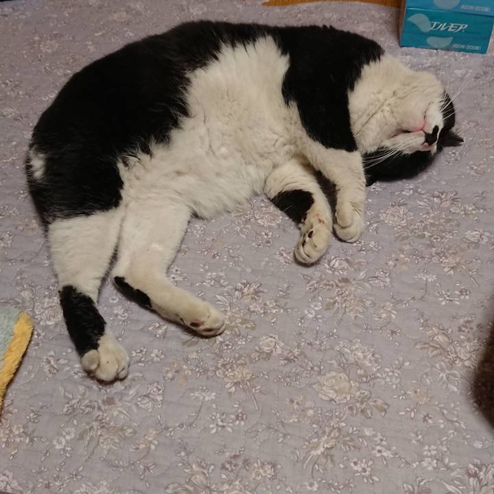 30a993e3 4eb9 474b 87a6 f0b9d7b9441e 1556194074683