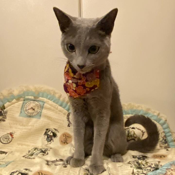 30a9a1e4 39d0 463c 9d85 4f7c1757e9b2 1707346820060