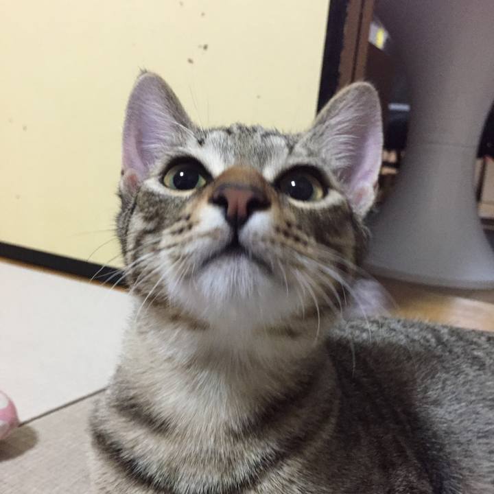 30a9dd97 4b9e 4bad 9f3b 29963be59d45 1508760495079