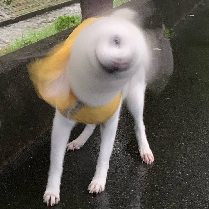 30a9f71b 4a44 40e8 a823 f262d4d3afbf 1565869344670