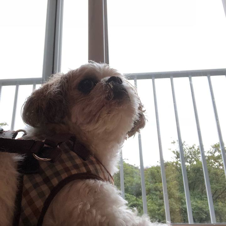 30aa301a ce53 4bd6 9b78 7f8ac69c4b2b 1537394414358