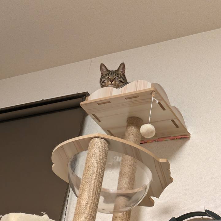 30aa6aae 27d0 4f10 b8c1 53e38d5b3e70 1704036948844