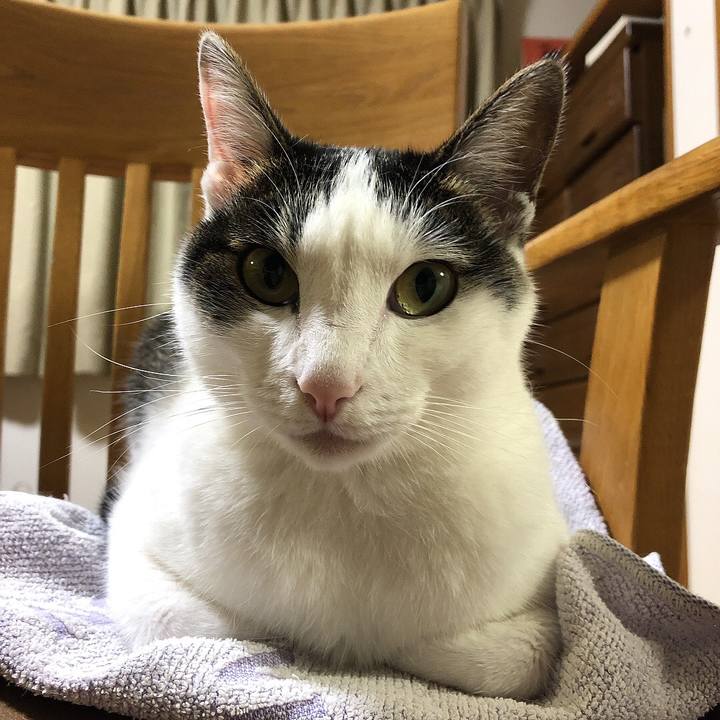 30aa760a ea30 437c 8650 31784c21e855 1658321057636