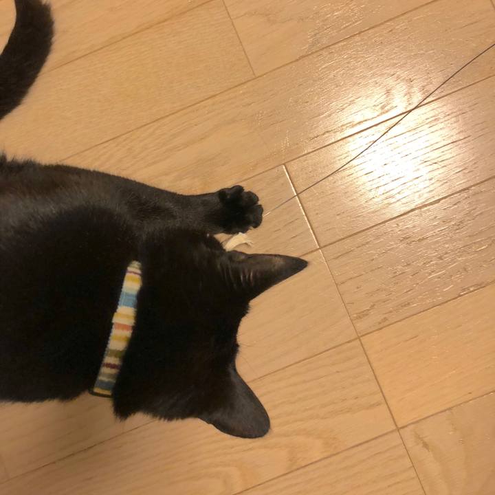 30aa88a0 c465 4192 b545 5bdf8bb0addd 1521207425515