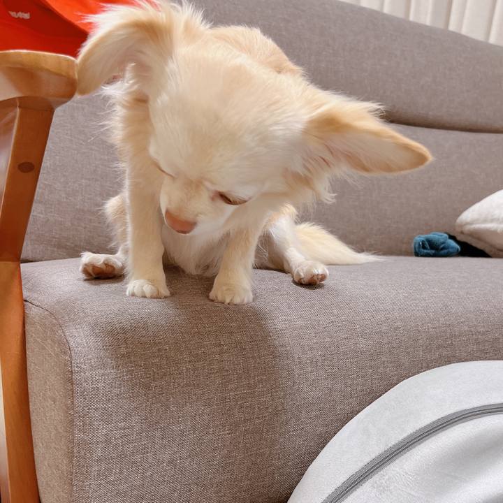 30aaea87 dec1 4165 97a4 a03baea0c091 1679401956045