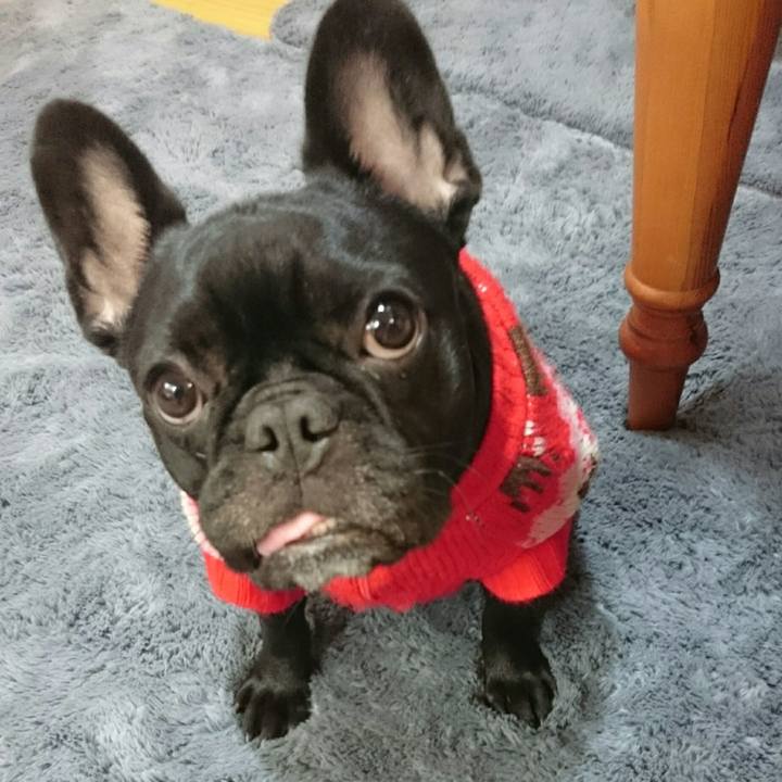 30aaf97d 2822 4d33 ad90 94f8a9c21b2e 1521284556555