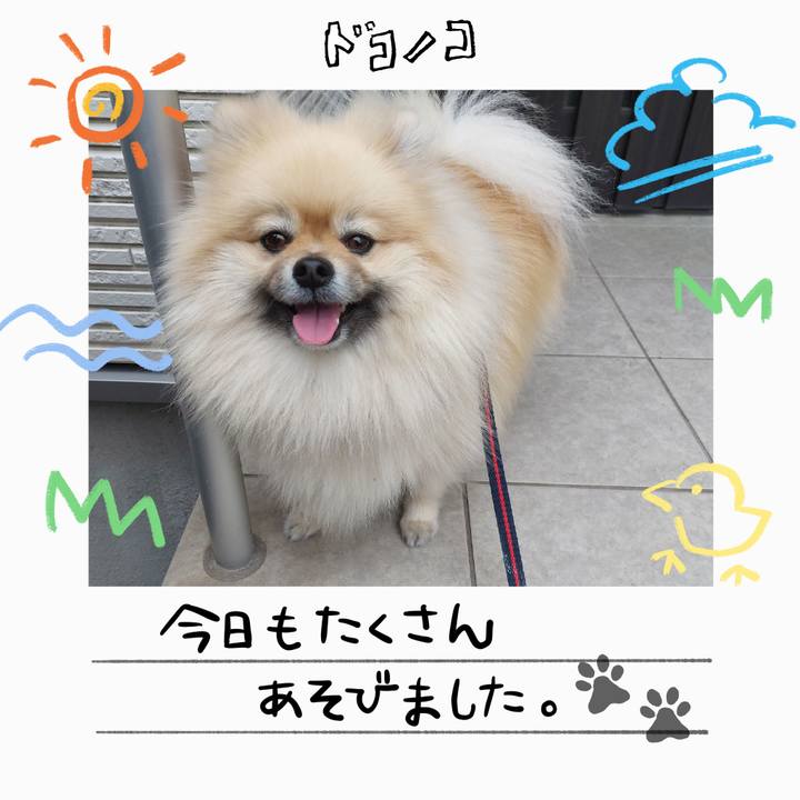 30ab383f 0894 45f2 ab77 9296cfd85e53 1755174996896