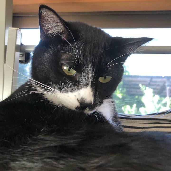 30ab6b84 7312 4407 9552 1eeb4ccb2d46 1539055812800