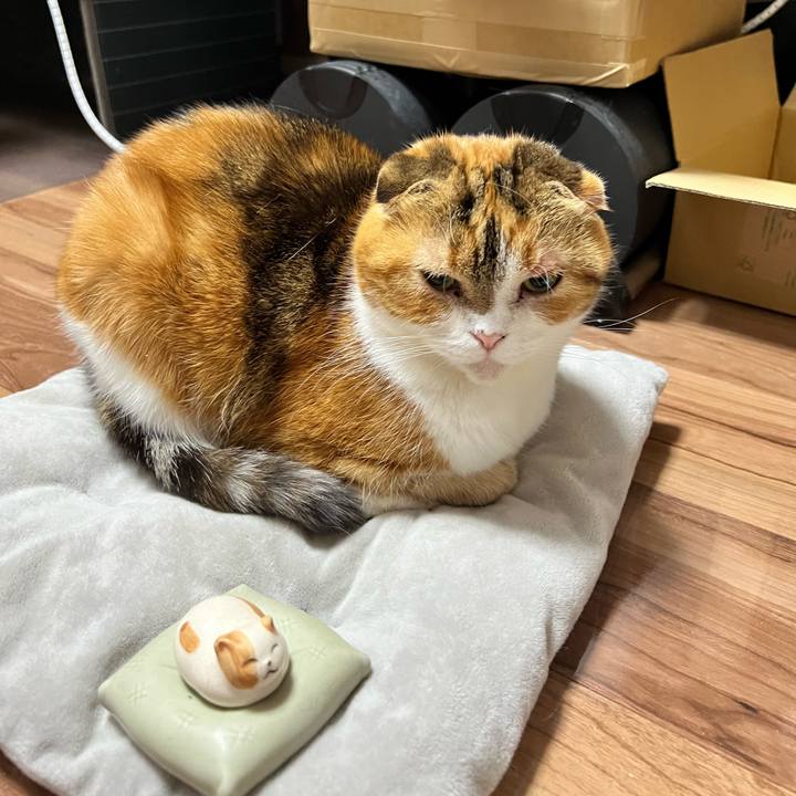 30aba1e5 366e 4d97 a394 55b232155406 1766502156501