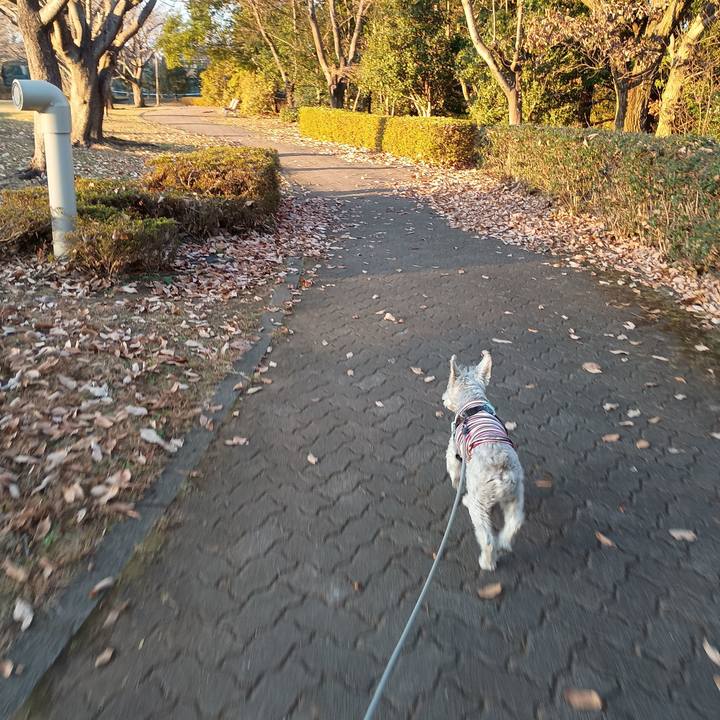 30aba5b8 c6e2 4895 99f9 9b91240c25e2 1765107484425