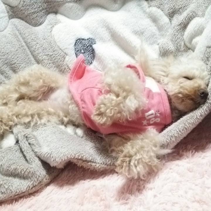 30aba800 3724 471d 8183 41efe99d9b64 1521342976501