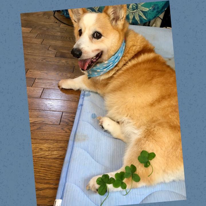 30abc313 0ad6 44be bdaa 46b9c8127943 1584072026905