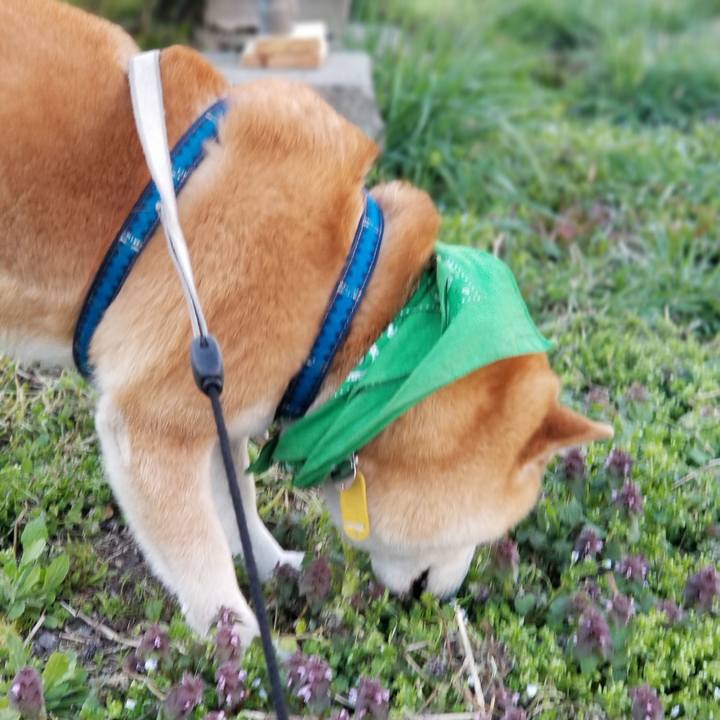 30abd8ca 9273 427e 9a6a 963508c053c5 1555400970039