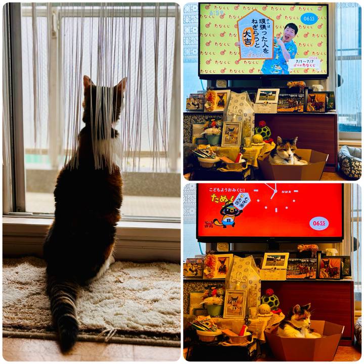 30abeb3e ed54 41ea 9d39 88976aa68808 1719786233577