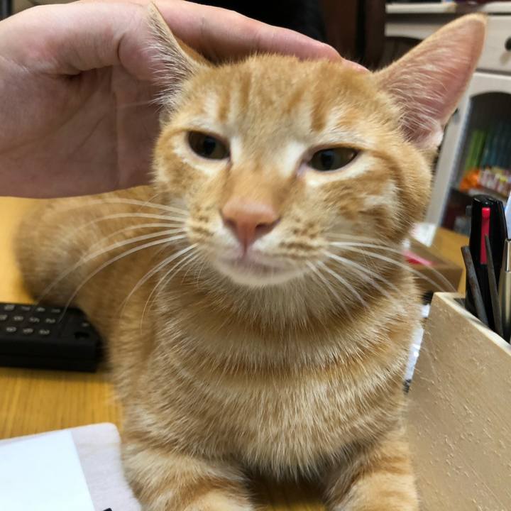 30abf5c0 e645 42cf b344 767bdf3602dd 1570578582792