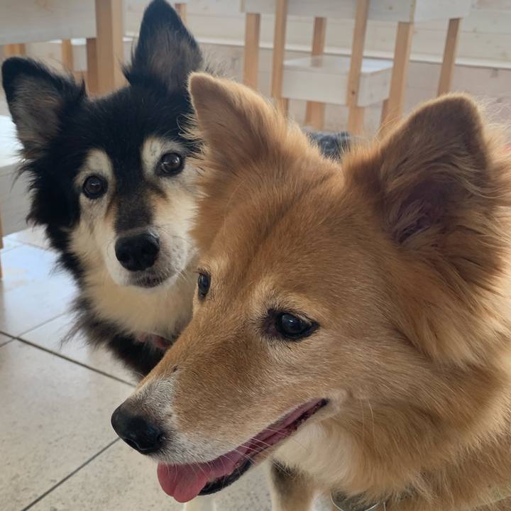 30ac1779 25e0 4327 bad8 713aeb79f38a 1696048790880