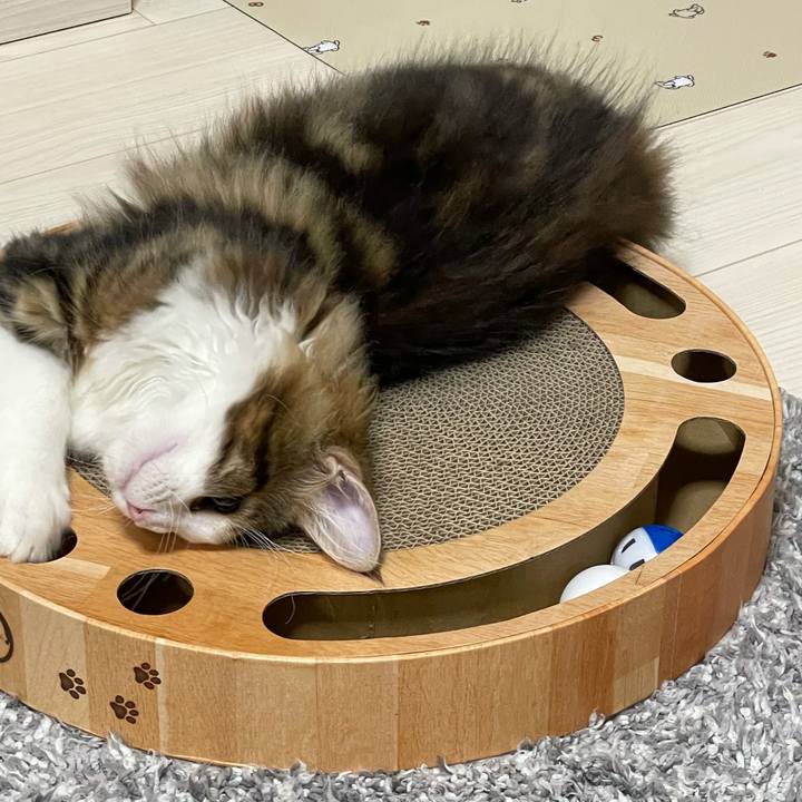 30ac22eb e244 45ff 9f1b 2601a5502ea1 1634034863116