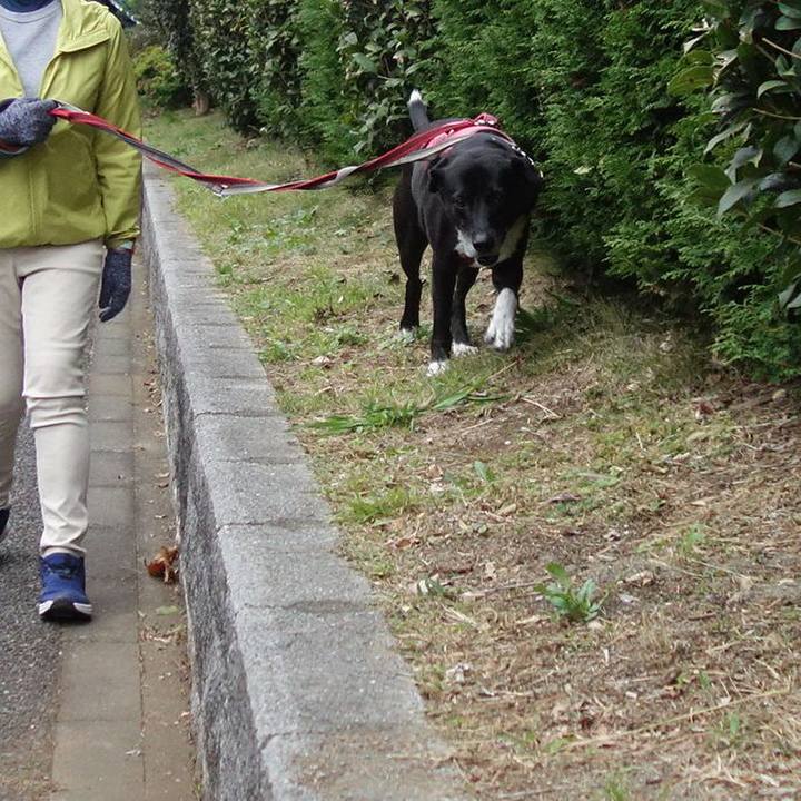 30ac4d63 a127 435d b2ee e0a32adf0500 1699750790883