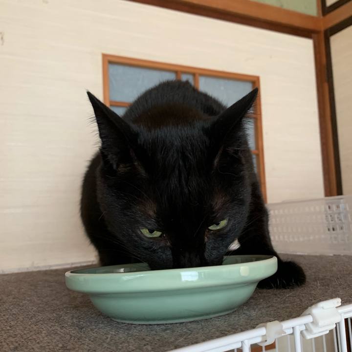 30ac5053 e63e 483e 9f4d f76d51ed967e 1563411655812