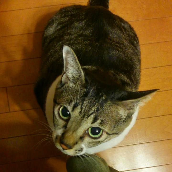 30ac7166 097c 4530 8100 4a7d393d5ff2 1507710612058