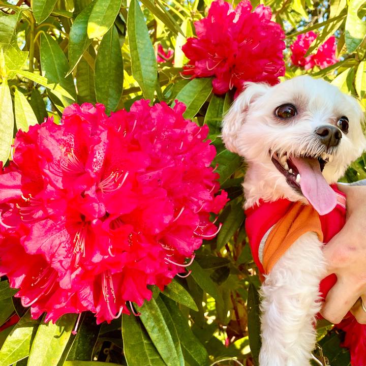 30ac85ad 2a37 4de0 a879 b1782f4b9e49 1618379143032