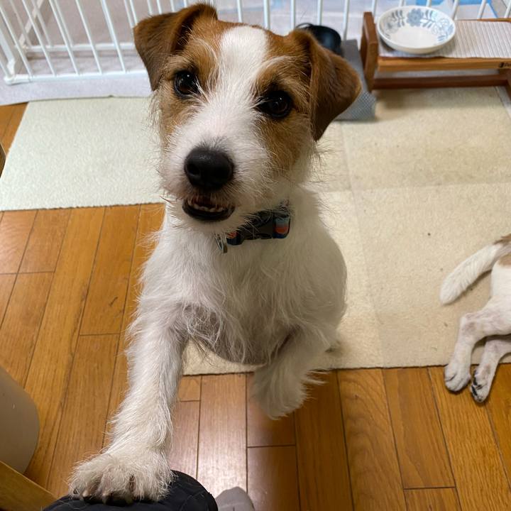 30aca2fa e587 427f b840 90987ceb0703 1715478508135