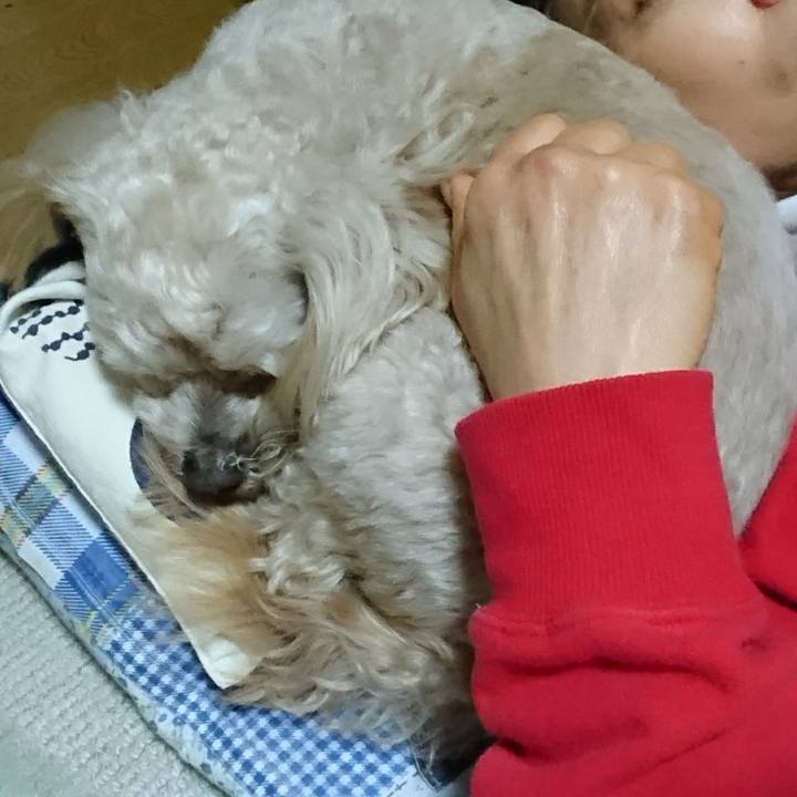 30ace626 5f5c 48cd 9228 1d4262333166 1587186951128