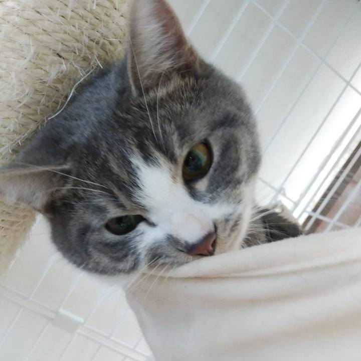 30acef1a 9c79 419f 89e8 d058c4beca34 1577062050308