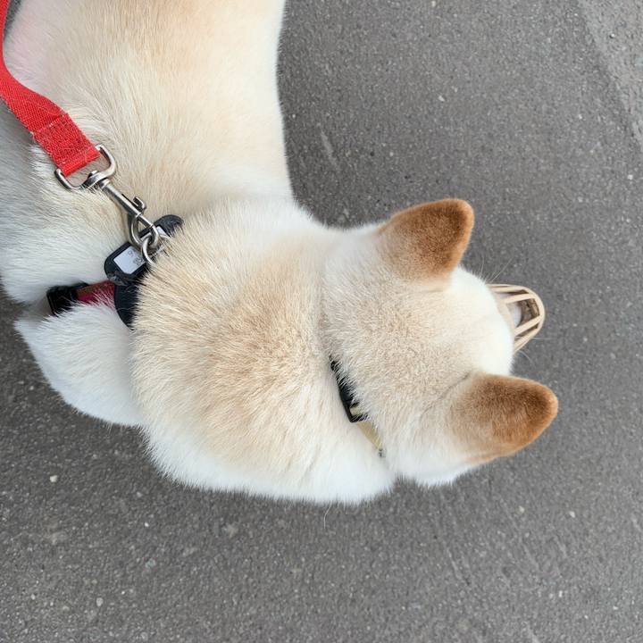 30acf730 d81c 4d50 b6ac 20e48c2c2798 1595626688472