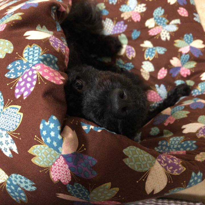 30ad12a2 695b 4977 bc7b b8b195bda8f9 1535063355301