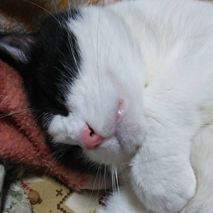 30ad5ee4 a5e8 4d84 abe7 1109cd67e4b6 1591104426337