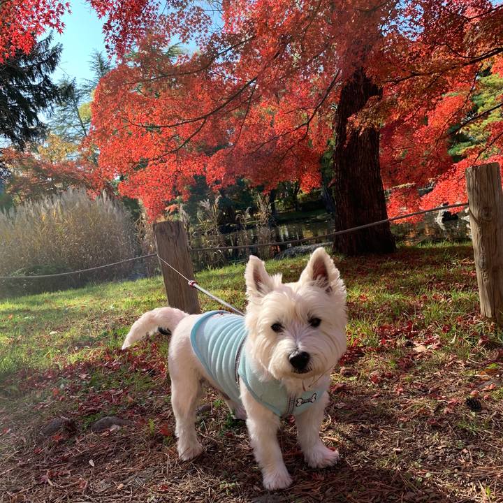 30ad8598 9ab6 4347 a384 73ccfb2ae67f 1572881354605