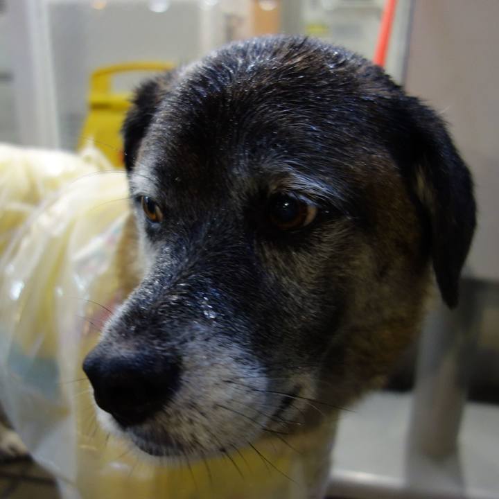 30ae1603 d3f2 411d bb39 7f7262332216 1615680447122