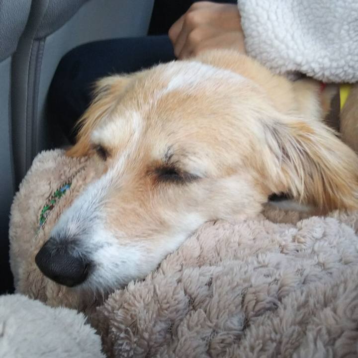 30ae1c55 8d0e 4e0b 89a0 49e6b098fff5 1541228517104