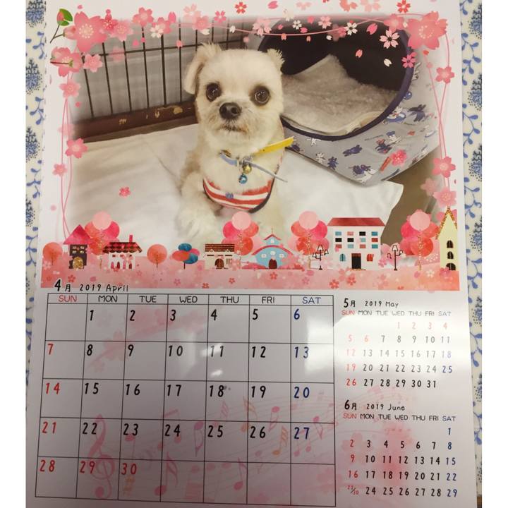 30ae448c 497e 419e a39a 5099d6189d12 1553692428470