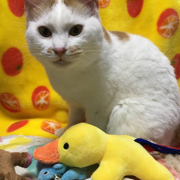 30ae81d5 c564 42e5 b352 2388b4ae5a80 1518313320319