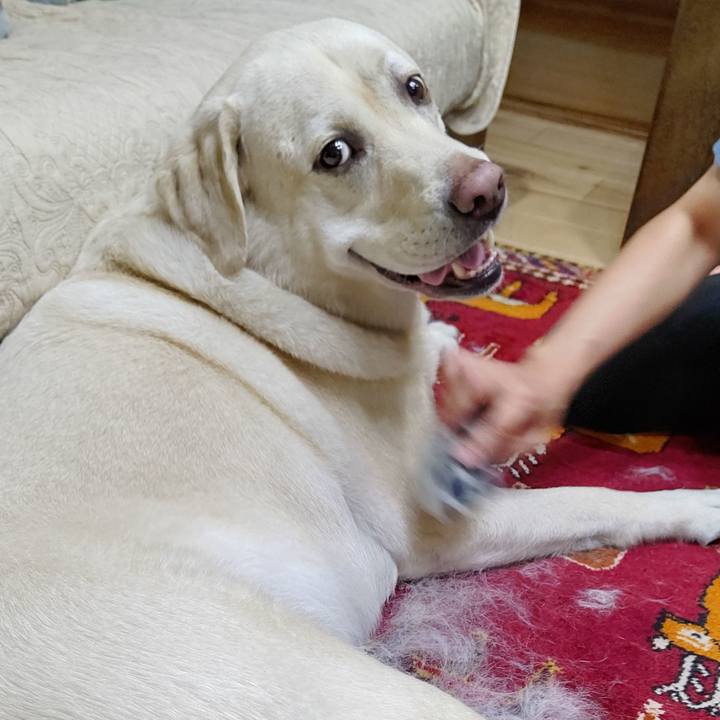 30ae9742 8470 4193 b96d 6fa8d7988614 1657970384275