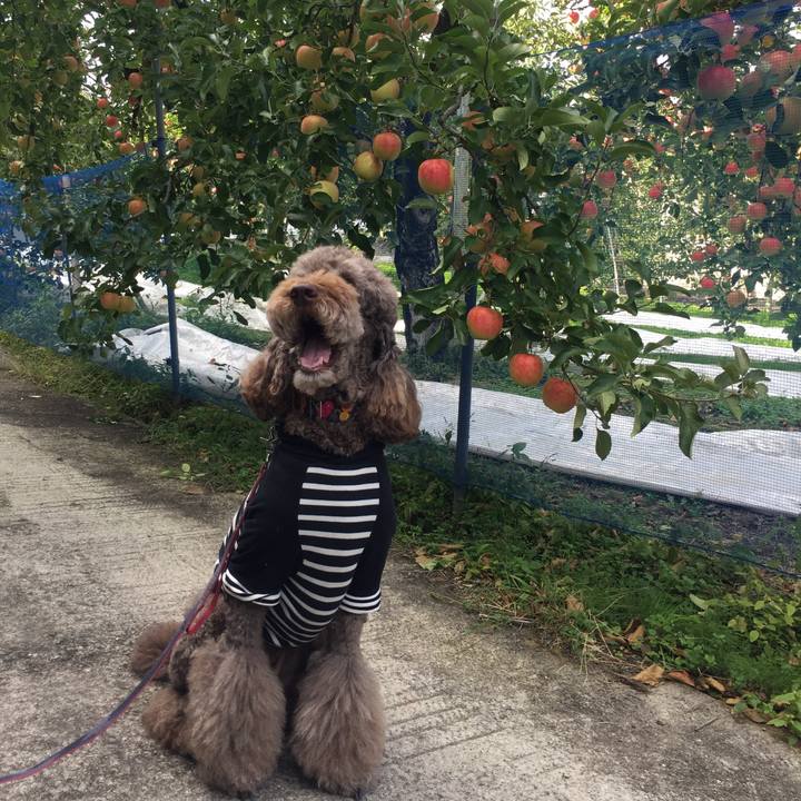 30aea761 a24e 4d53 9d8a da55a8b4ebfc 1539672273126