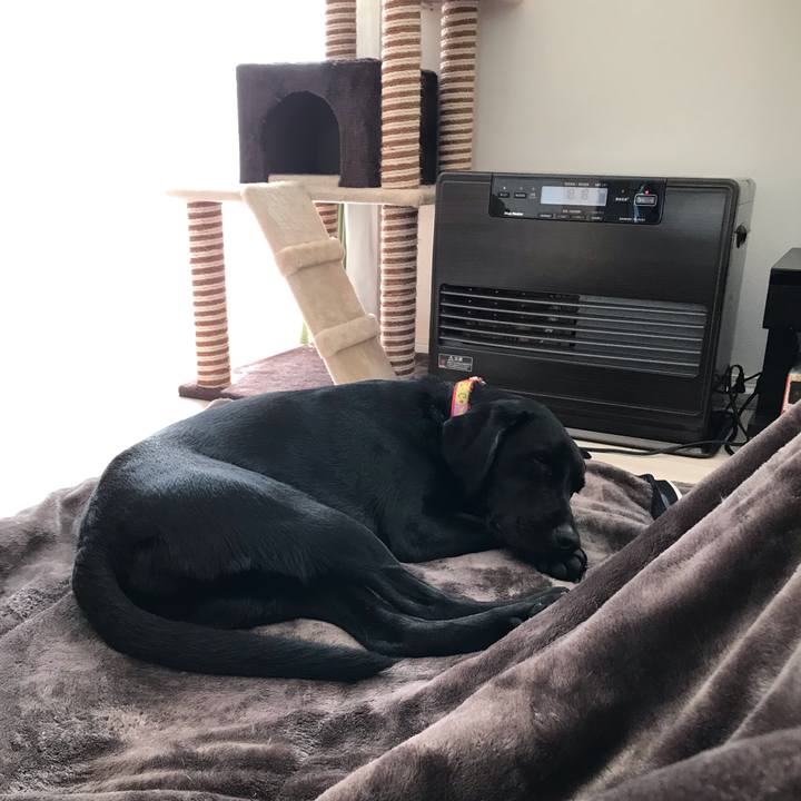 30aeab2c 38ad 44bb 8a72 c17efa978e77 1546306340896