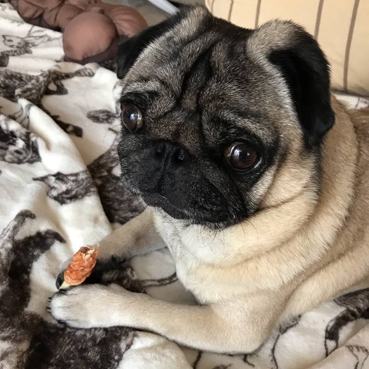 30aeb424 db44 489f 8464 75198ddf0922 1567221466030